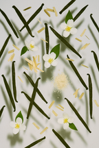 The Midnight Veil Set